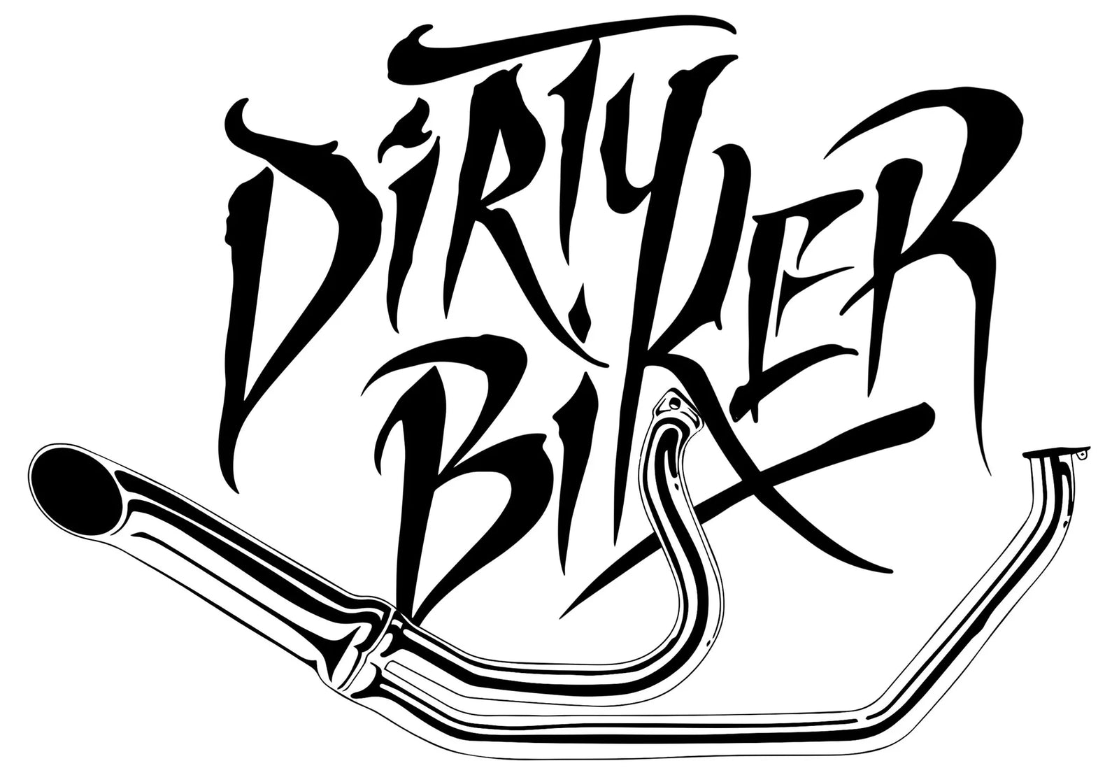 DirtyBiker Paughco Exhaust Systems Dirty Biker Harley Davidson 2 into 1 exhaust